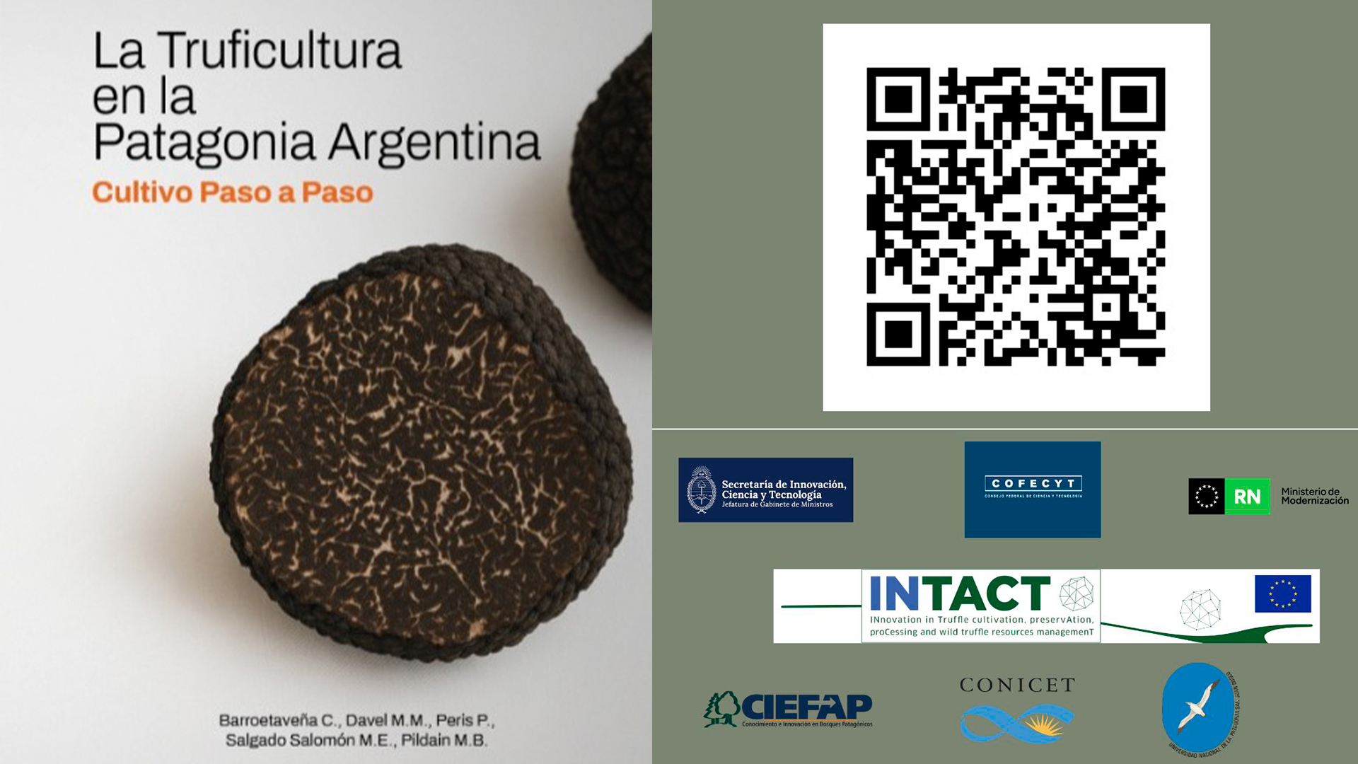 Nueva publicación sobre truficultura reúne experiencias y conocimientos para Patagonia Sur